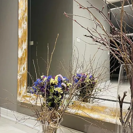 酒店 奥雷斯蒂中心酒店 地拉那