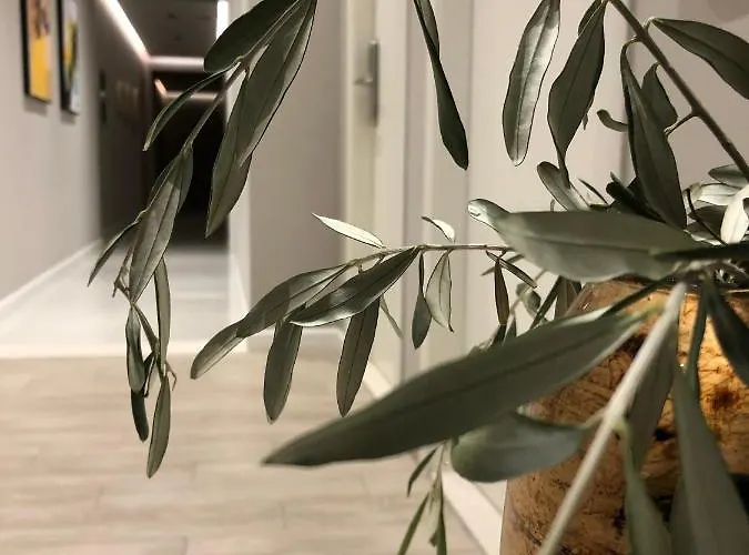 Oresti Center Ξενοδοχείο 3*