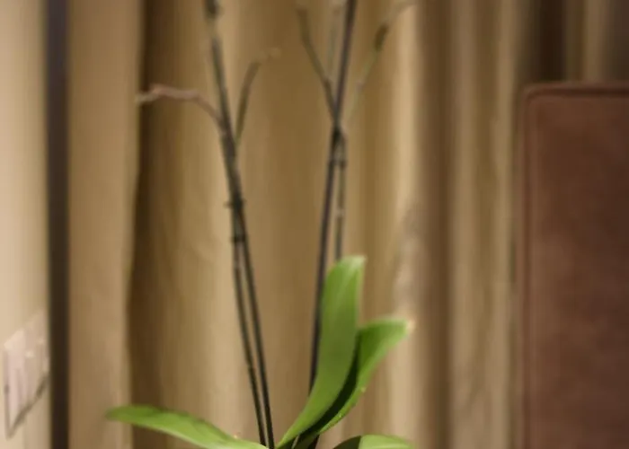 Oresti Center Hotel Tirana