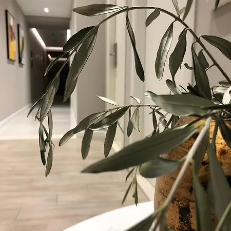 Oresti Center Otel 3*