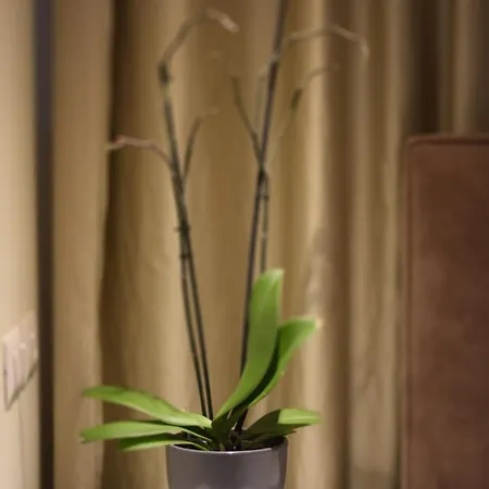 Oresti Center Hotel Tirana