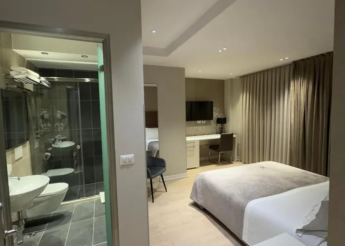 奥雷斯蒂中心酒店 3*